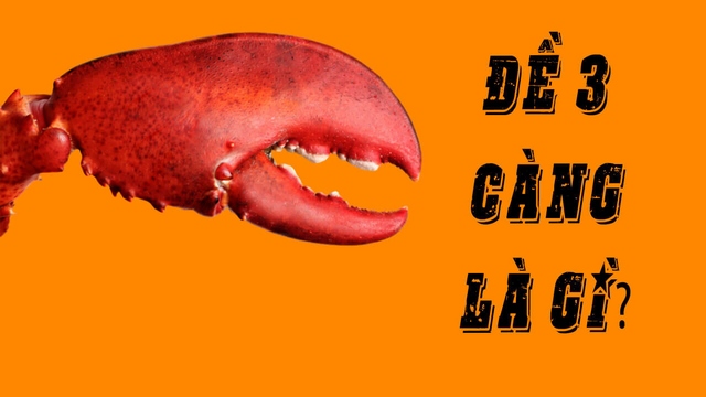 Soi cầu dự đoán 3 càng mb là gì